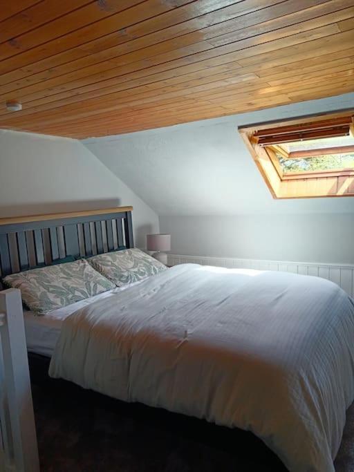Appartement Dingle Escape -2 Bed -Sleeps 4 Extérieur photo