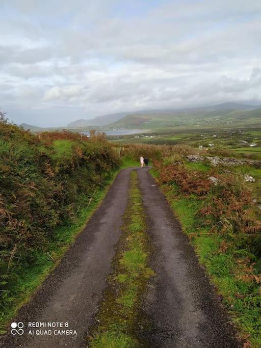 Appartement Dingle Escape -2 Bed -Sleeps 4 Extérieur photo