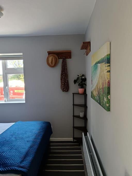 Appartement Dingle Escape -2 Bed -Sleeps 4 Extérieur photo