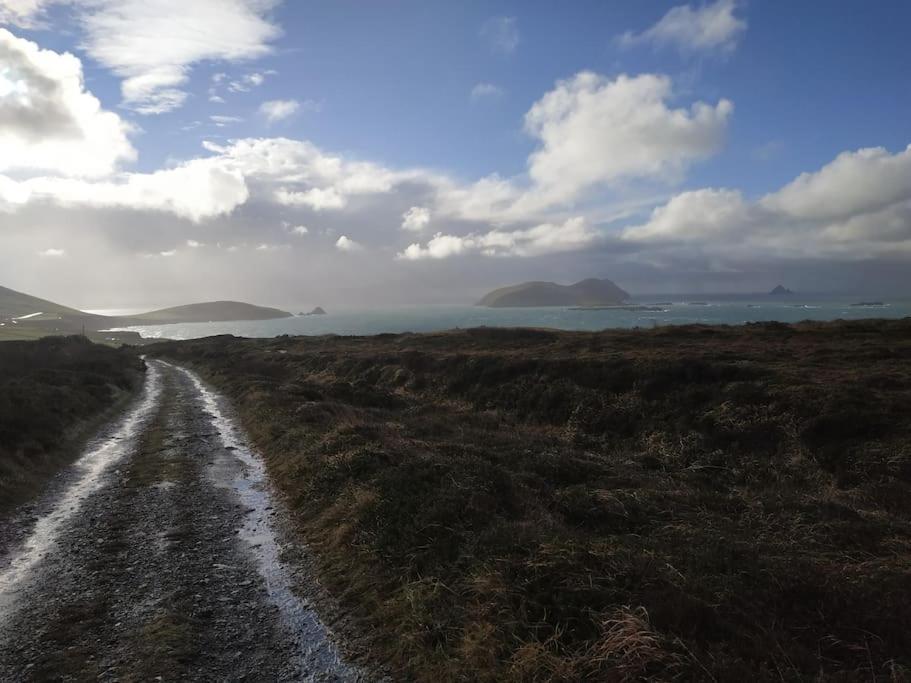 Appartement Dingle Escape -2 Bed -Sleeps 4 Extérieur photo