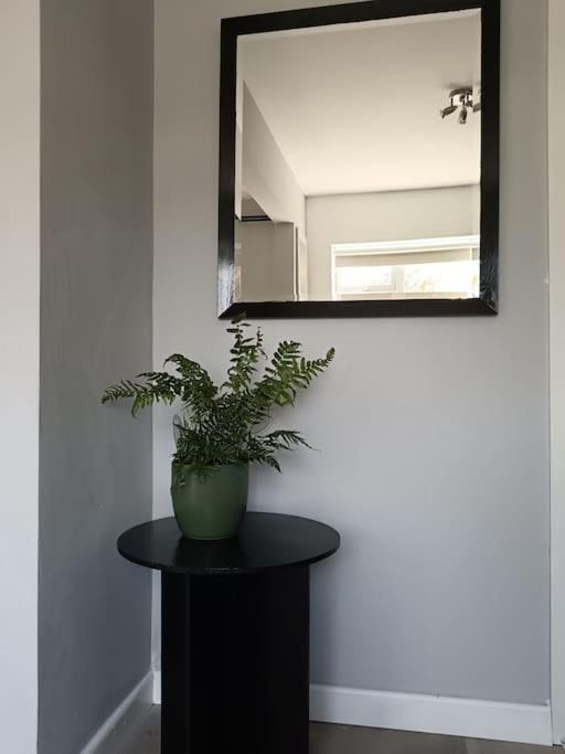 Appartement Dingle Escape -2 Bed -Sleeps 4 Extérieur photo