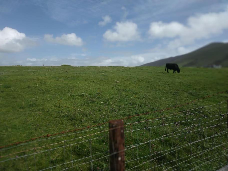 Appartement Dingle Escape -2 Bed -Sleeps 4 Extérieur photo